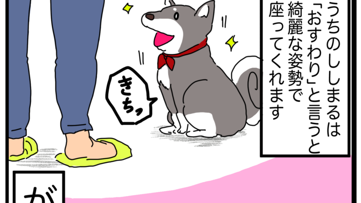 【漫画】犬ずわり、柴犬の変わった座り方。座り方の癖と原因、対策は？