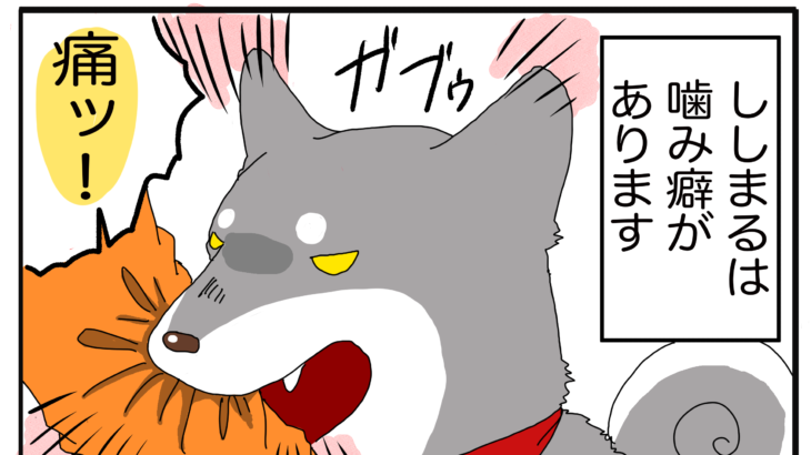 【漫画】柴犬の噛み癖。治すためにはどうしたらいいのか。